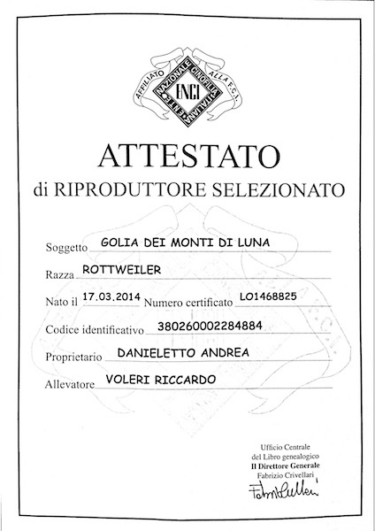 attestato-3