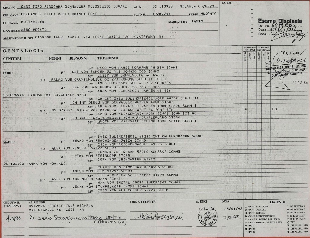 cert.heilander (3)