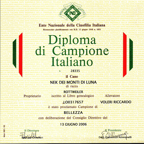 diploma nek 2006
