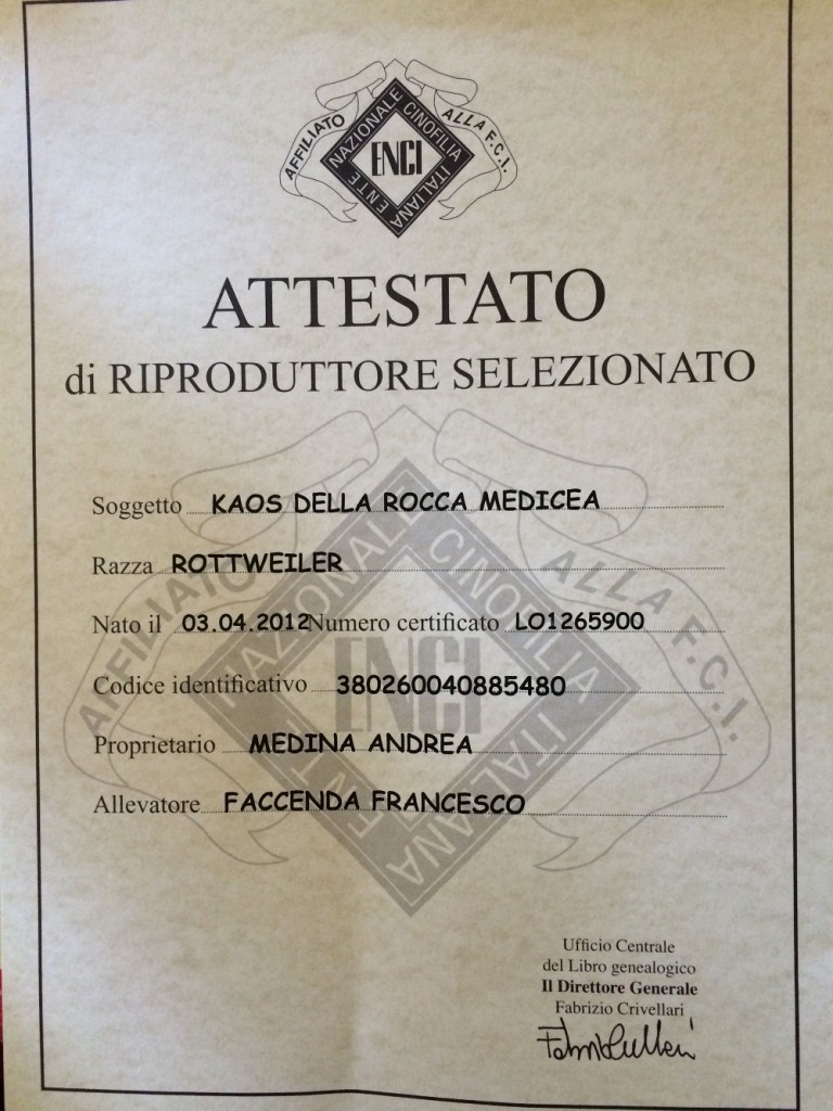 ATTESTATO KAOS (1)