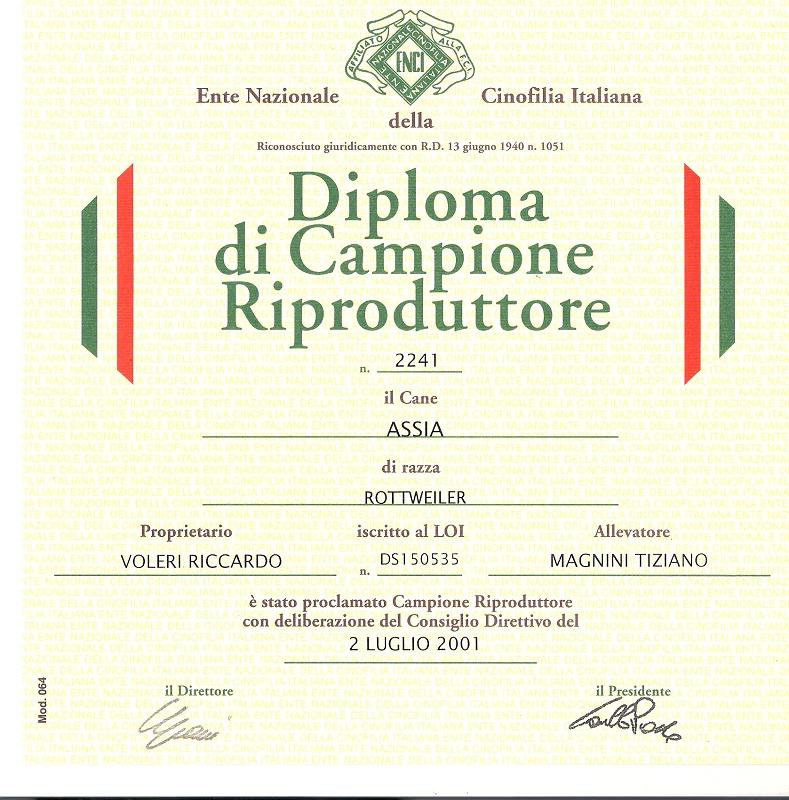 diploma di rip assia (1)