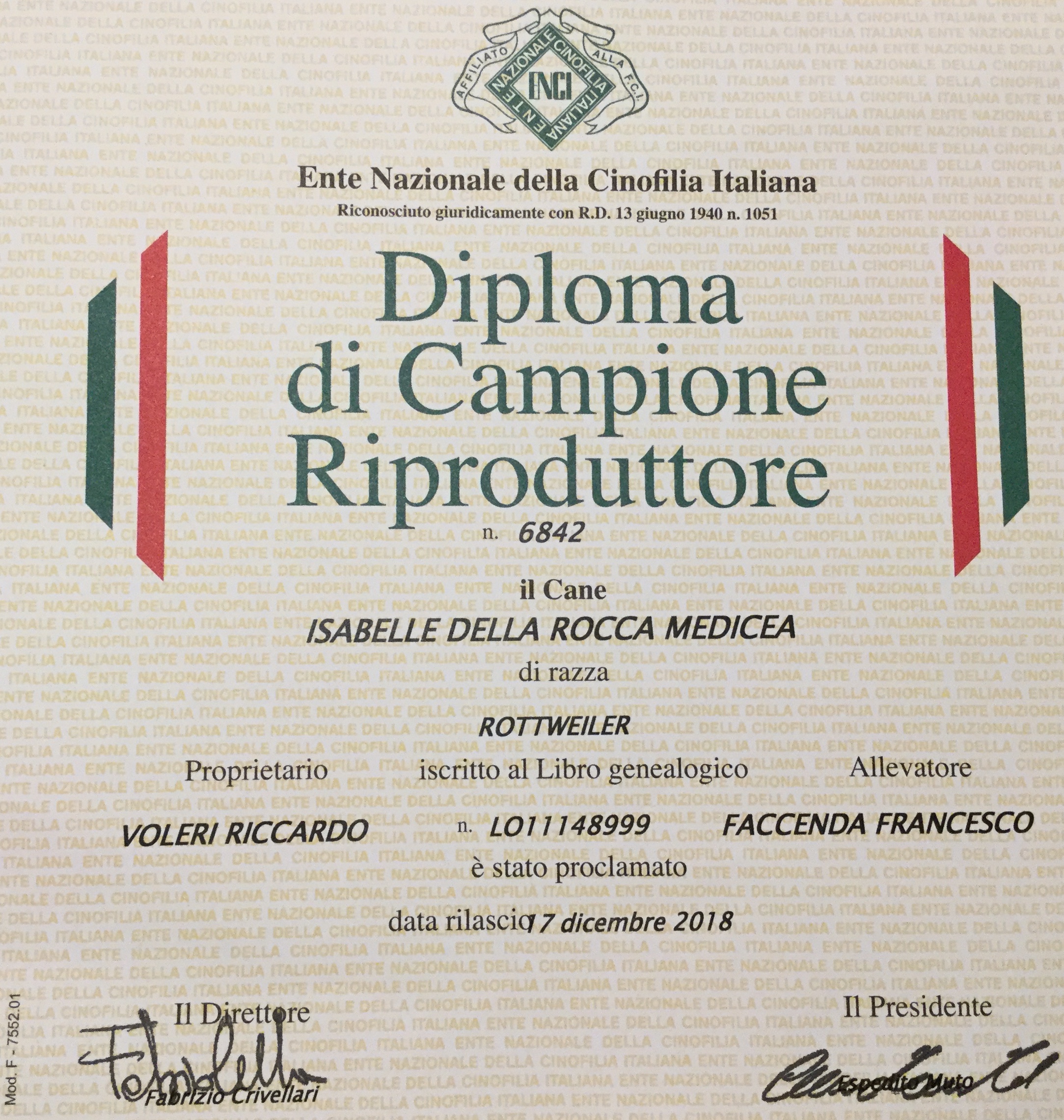 campione riproduttore isabellla