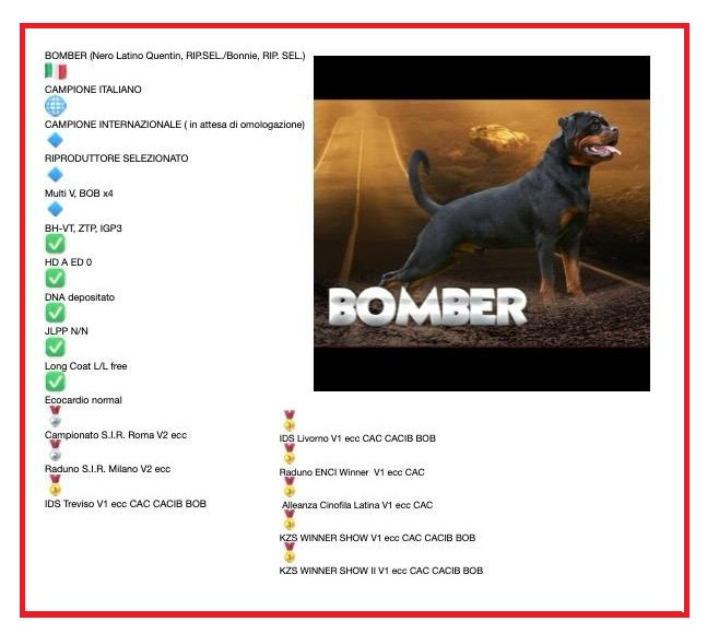 NUOVA CUCCIOLATA ROTTWEILER 1