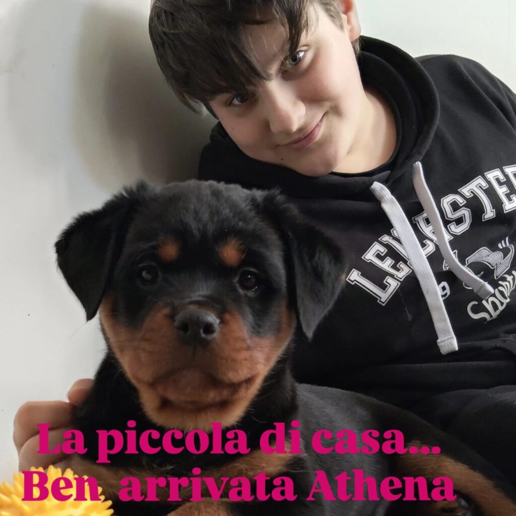 28/02/2026 Athena entra nella nostra famiglia