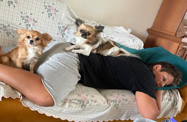 Una vita insieme ai nostri cani