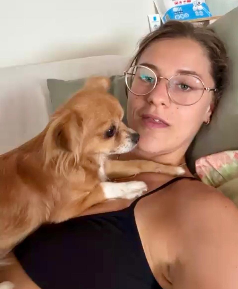Chihuahua in famiglia