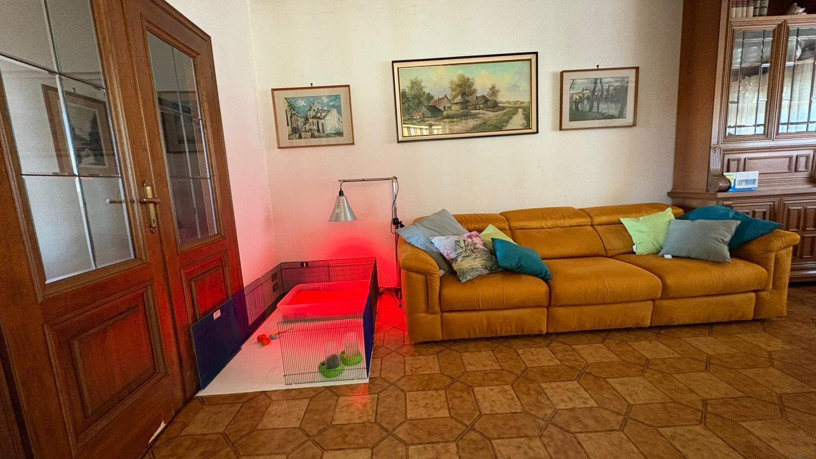 Vita in allevamento 1